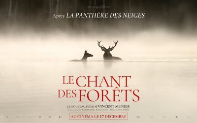 Le Chant des Forêts